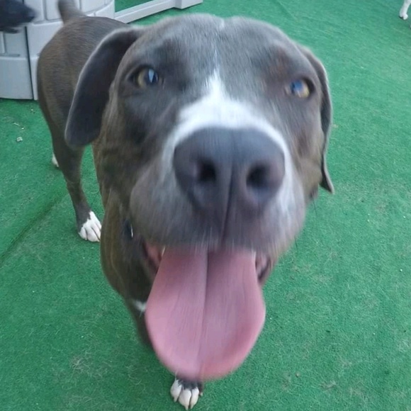 Meet your Posher, Razion - Picture 1 of 1